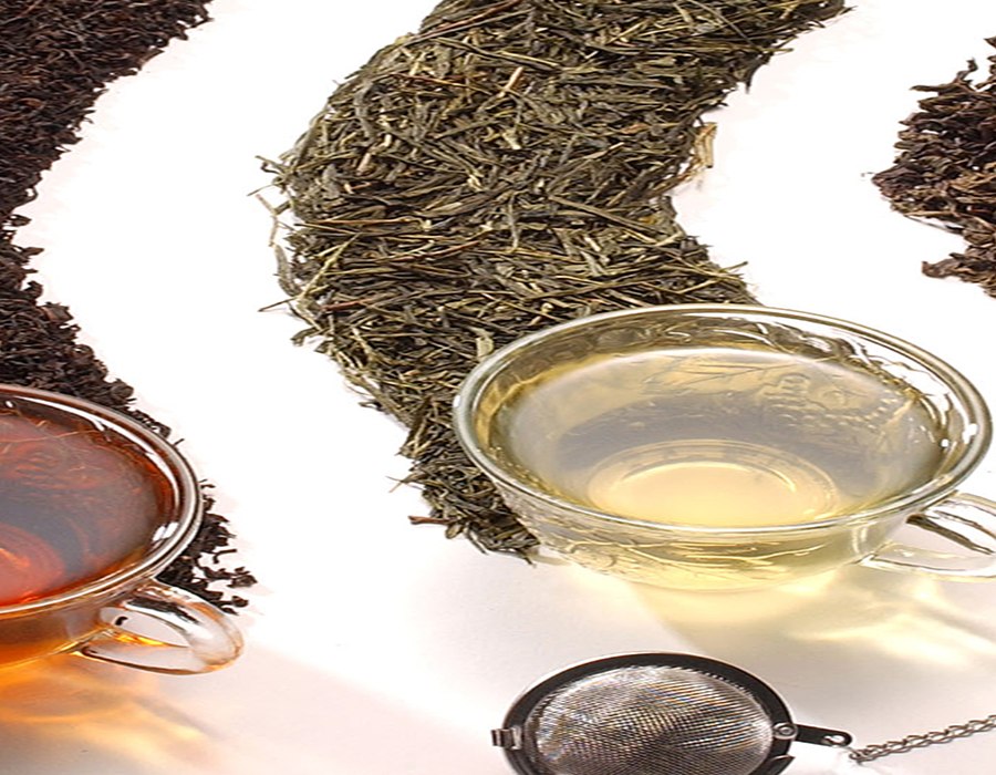 Yerba Mate Bio - 100g